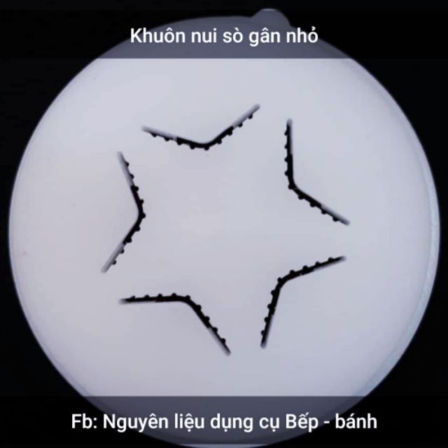 Khuôn nui sò gân nhỏ