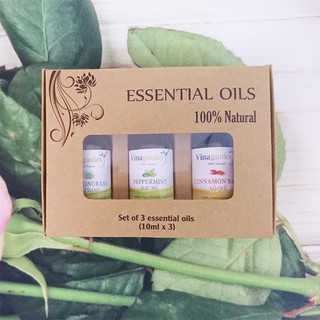 Combo 3 chai tinh dầu sả chanh, bạc hà, quế 10ml
