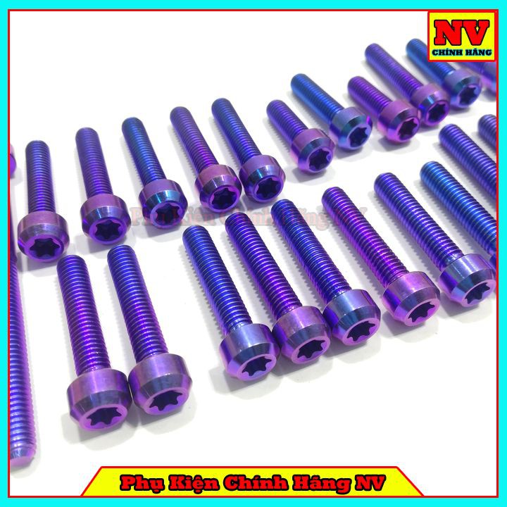 Bộ Ốc Lốc Máy Winner Gr5 Full Bộ 24 Con