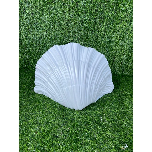 Chậu cây ốp tường hình vỏ sò trắng 30cmx18cm siêu đẹp