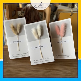 Set 10 đầu cỏ lau Mỹ, hoa khô cỏ đuôi thỏ trang trí decor thiệp, khung tranh, phụ kiện chụp ảnh (màu ngẫu nhiên)