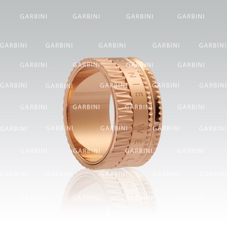 Nhẫn Daniel Wellington Elevation Ring DW  - Garbini