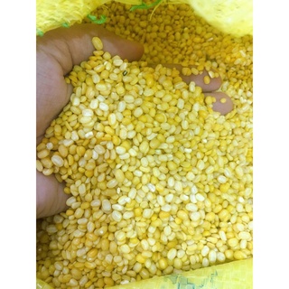 Đậu xanh bỏ vỏ loại đậu quê hạt nhỏ thuần chủng cam kết thơm ngon _Đặc sản xứ Nghệ
