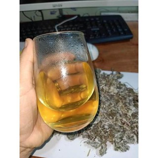 Chè dây tuyết Sapa