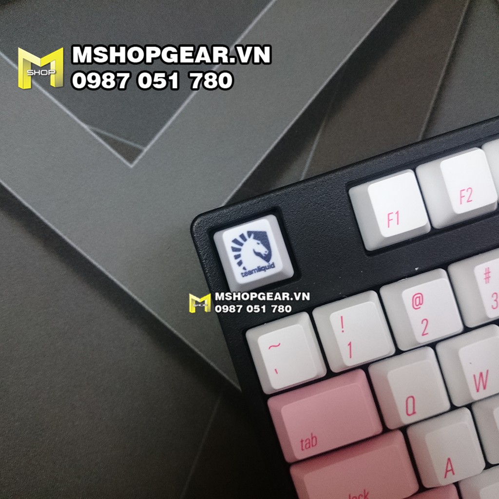 Keycap logo team CS:GO thick pbt dye-sub