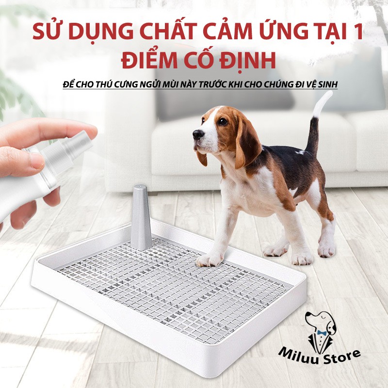 Xịt hướng dẫn cho chó mèo đi vệ sinh dung tích lớn giúp tập thói quen đi vệ sinh đúng chỗ cho thú cưng