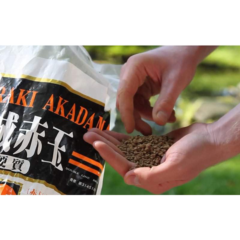 (1kg) Đất sét nung akadama, đất nhật trồng cây size S