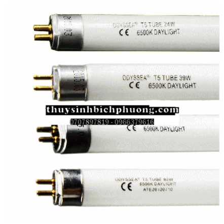 BÓNG ĐÈN ODYSSEA T5H0 6500K VÀ 10000K CHO HỒ THỦY SINH