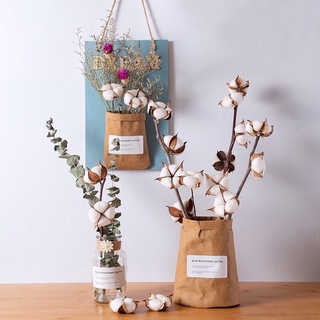 HOA KHÔ DECOR ❤️ FREESHIP 50k ❤️ CÀNH BÔNG GÒN KHÔ TRANG TRÍ NHÀ CỬA, DECOR CHỤP ẢNH