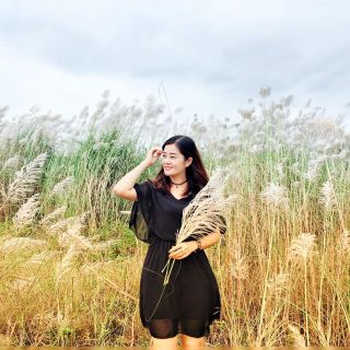 Váy xuông chất đẹp