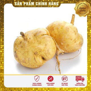 Hạt giống củ đậu gói 20gr