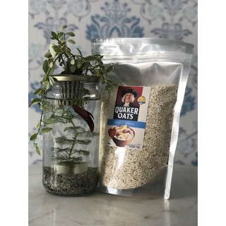 Combo 10 gói yến mạch 500gr