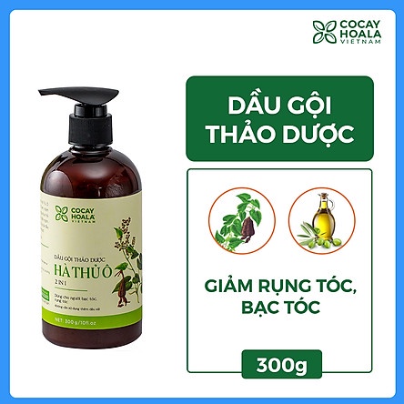 COMBO Dầu gội Hà Thủ Ô và Dầu Xả Gừng tươi 300ml Cỏ Cây Hoa Lá (Date 2023)