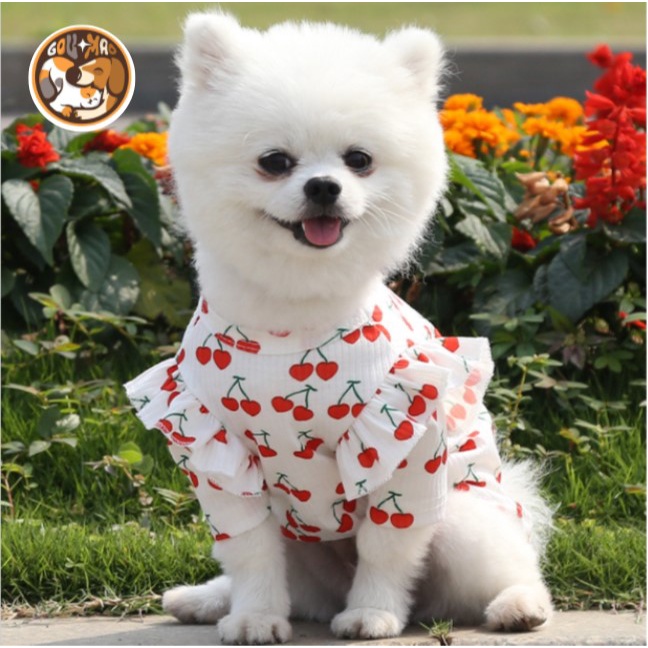 ✨ áo kiểu mẫu mới họa tiết jerry dành cho chó mèo , thú cưng - GouMao Pet ✨
