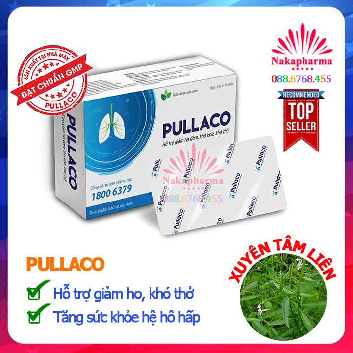 Pullaco có Xuyên Tâm Liên | Hỗ trợ bổ phế, giảm ho, long đờm, ngừa viêm phế quản