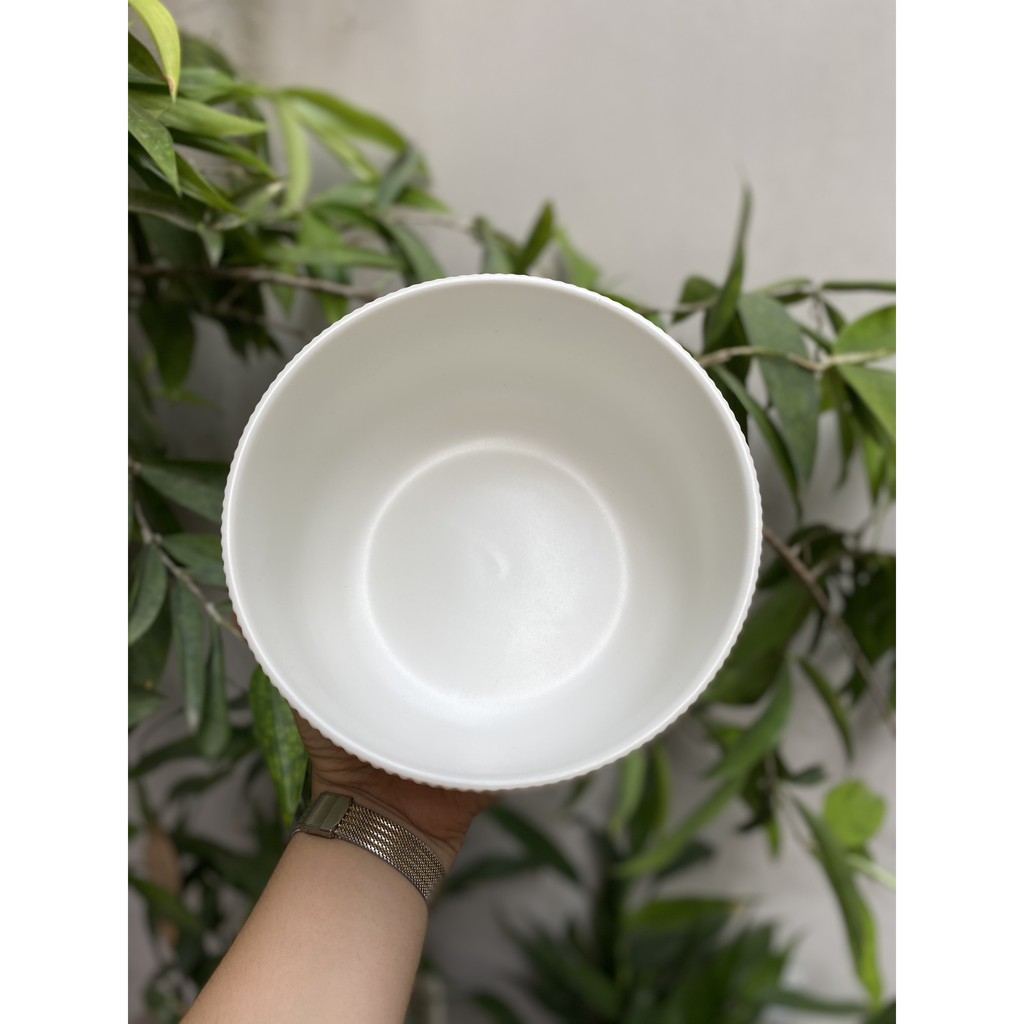 Tô mì 15cm men trắng sọc Cruise sang trọng - Tô sứ cao cấp phong cách Bắc Âu