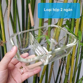 Hộp thuỷ tinh Lock & Lock