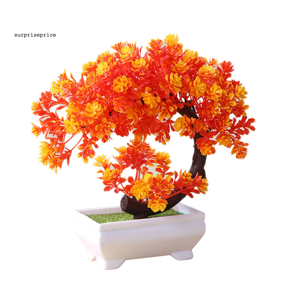 Chậu Cây Bonsai Giả Trang Trí Nhà Cửa