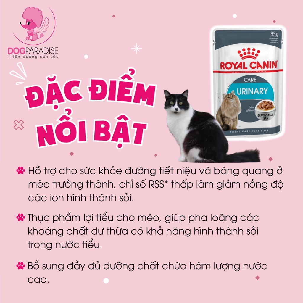 Sốt thịt Royal Canin Care Urinary cho mèo hỗ trợ đường tiết niệu 85gr - Dog Paradise