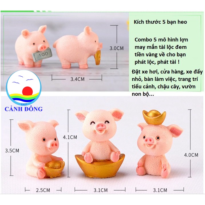 Combo 5 con heo ngậm tiền vàng may mắn phát lộc tài