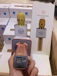 [SALE 20%] Mic kèm loa Karaoke Bluetooth YS 10 