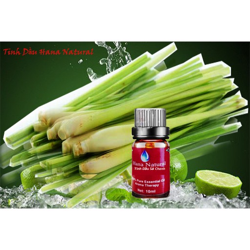Tinh Dầu Sả Chanh Đuổi Muỗi / Xông Phòng HanaNatural 10ML