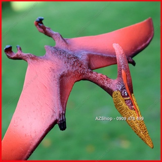 Mô Hình Khủng Long Thằn Lằn Bay Pteranodon - 7748.3