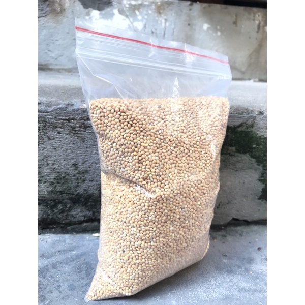 1kg HẠT KÊ VÀNG cho các dòng chim vẹt yến phụng, lovebird, manh manh, sắc nhật, chuột hamster...