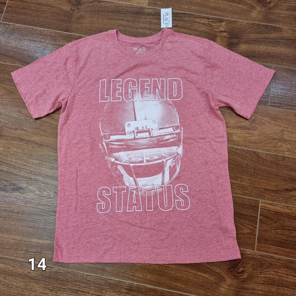 Áo Phông Cộc Tay bé Trai Size Đại 10,14,16Tuổi Xuất Dư Cotton Mềm Mịn Hippo House