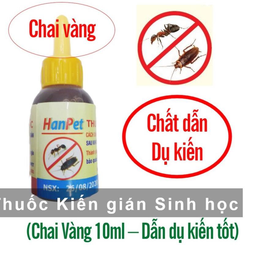 Hanpet.GV- Thuốc diệt kiến sinh học (chai vàng 10ml) dẫn dụ kiến tốt hơn kiến bu nhiều hơn nên diệt kiến hiệu quả hơn