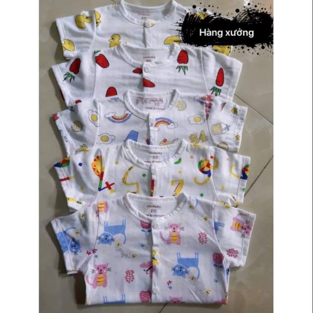 Combo 5 bộ cotton giấy