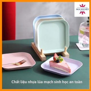 Đĩa lúa mạch vuông set 8 chất liệu nhựa lúa mạch sinh học an toàn cho sức khoẻ