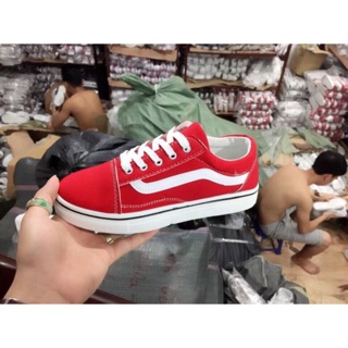Giày vans âu đỏ
