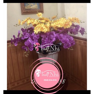 CÀNH LAN HỒ ĐIỆP 3D CAO CẤP - Hoa Gỉa,Hoa Lụa.