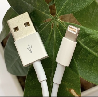 cáp sạc iphone 8 ic cao cấp