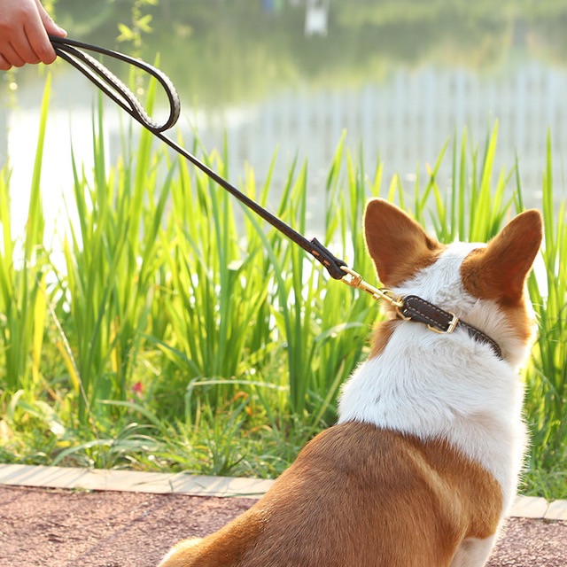 DÂY DẮT VÒNG CỔ DA NHÂN TẠO MÓC KHÓA BẰNG ĐỒNG
