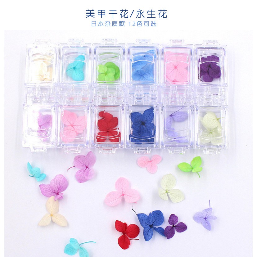 Khay 12 loai Hoa khô trang trí móng 3D Hoa Bự