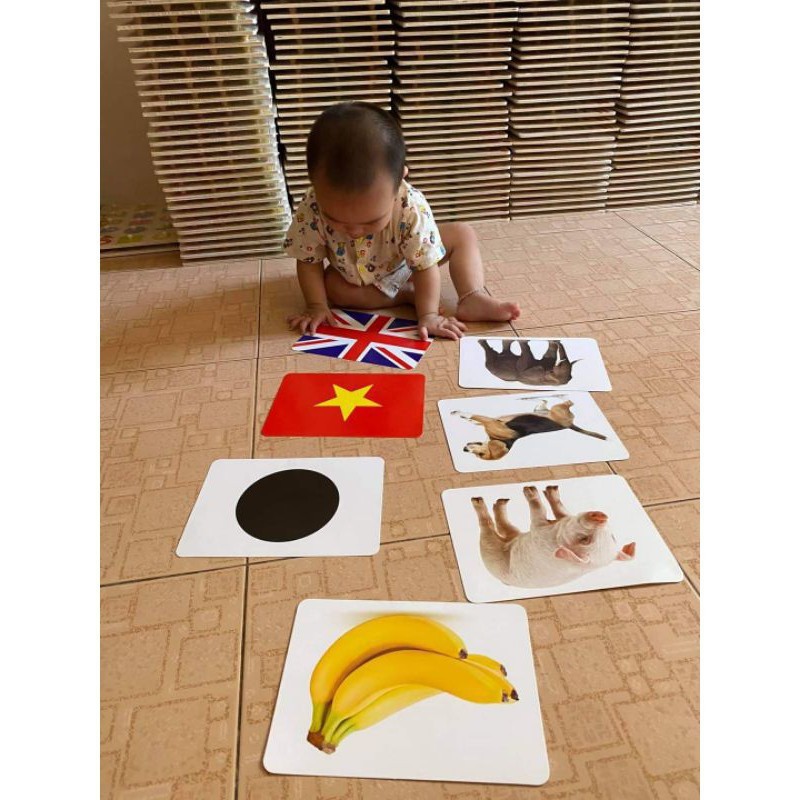 Bộ thẻ học thông minh Glenn Doman dạy bé nhận biết về Thế giới xung quanh, kết hợp dạy Từ vựng kt A5 - 15x21cm