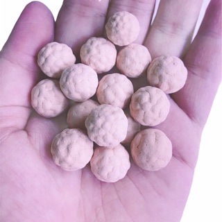 Gốm Sinh Sản Cho Tép Lian - 1 VIÊN