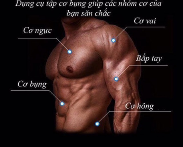 Con lăn 4 bánh đa năng tập cho nhiều bộ phận