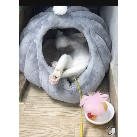 Ổ nệm hình vòm cho chó mèo cực đáng yêu / nhà lồng trái bí chó mèo ngủ êm ái