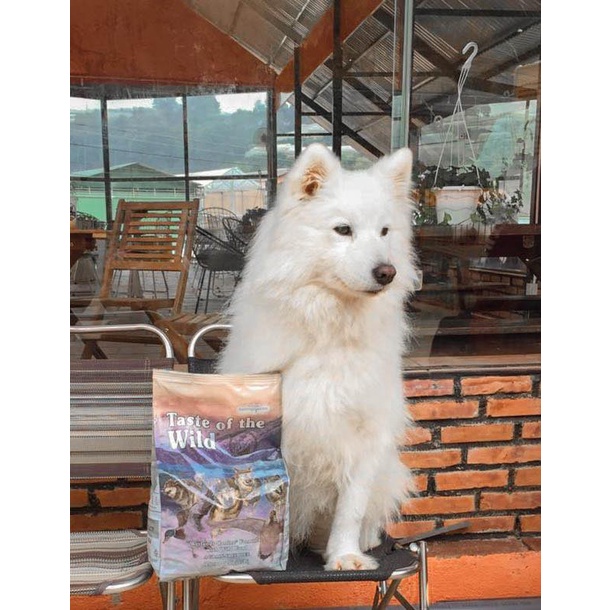 Thức Ăn Cho Chó Samoyed Taste Of The Wild Bao 500g Lông Bóng Mượt - Wetlands Thịt Chim Rừng, Trái Cây Rau Củ Quả