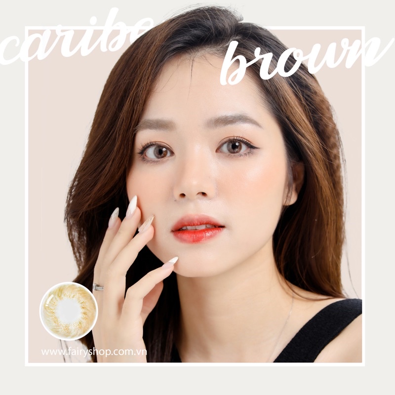 Kính Áp Tròng Pinky Bae BROWN 14.0mm - Kính Áp Tròng FAIRY SHOP CONTACT LENS - độ cận 0 đến 8