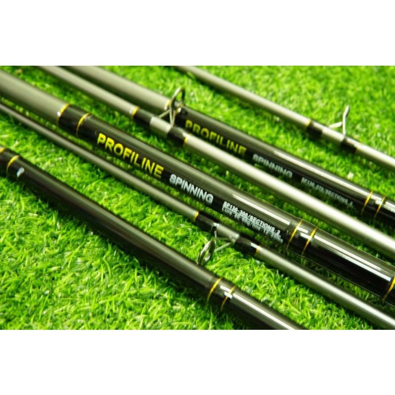 Cần câu profiline spining