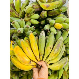 CHUỐI HỘT ÉP MIẾNG XẤY KHÔ
