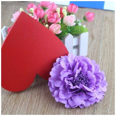 Hoa Cài Tóc 60 Số 16