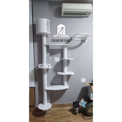 Cat tree gắn tường