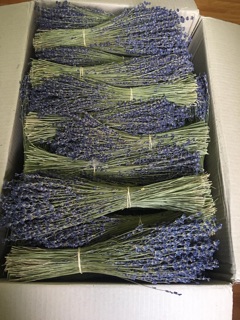 Bó hoa Lavender Pháp đủ Bill (ko bọc gói)