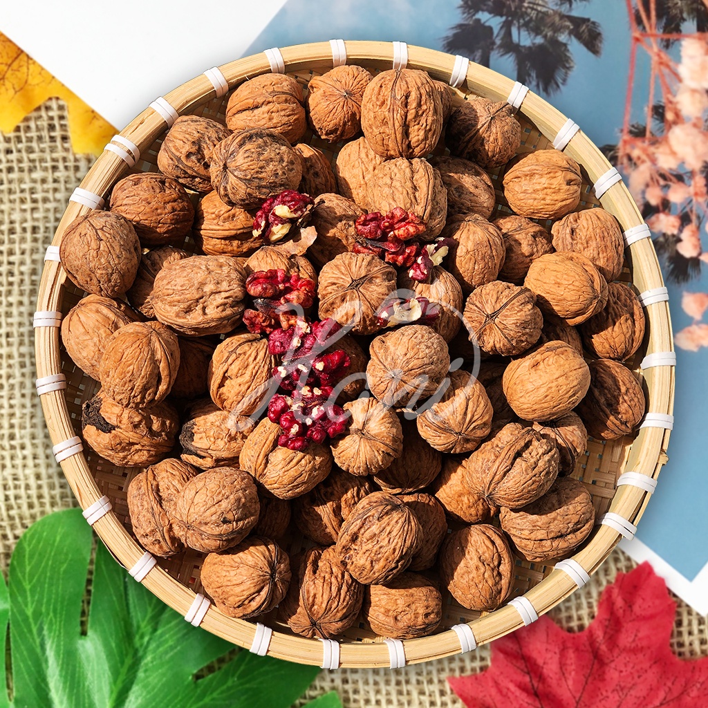 Óc Chó Đỏ Hartley Mỹ 500g nguyên vỏ - Hàng Nhập Khẩu Thượng Hạng [Tặng Kìm Tách Vỏ]  Dinh dưỡng HANI FOOD