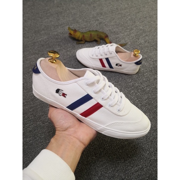 giày vải đế cao su đặc sáng màu lacoste